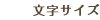 文字サイズ